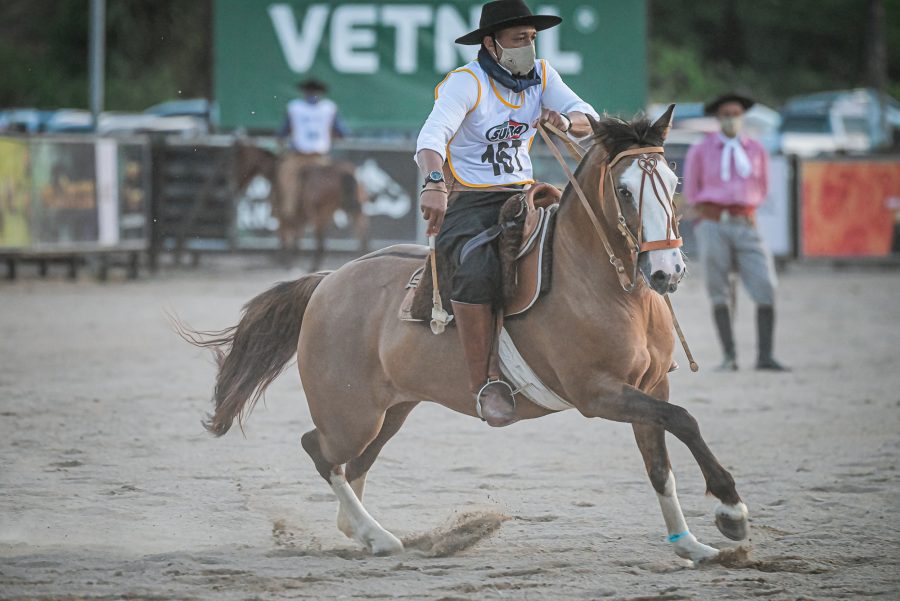 ClubeHip's tweet photo. Não há barreiras que não possam ser rompidas se houver Cavalo Crioulo. Ano a ano, essa afirmação ganha envergadura diante das dificuldades, como a atual pandemia. Na modalidade Inclusão de Ouro não é diferente. #ABCCC #caballo #cavalo #cavalocrioulo #crio https://t.co/5H0dlbwBPL https://t.co/tsYqhdOGXg