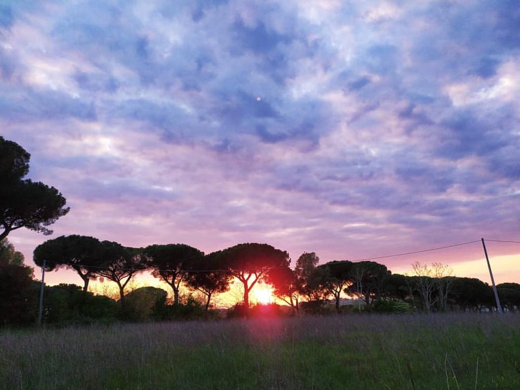 EnteRomaNatura's tweet photo. Ha già più di trent’anni il parco Regionale Urbano di #Aguzzano, 60 ettari di Agro Romano tra la via Nomentana, il GRA, la via Tiburtina e il fiume Aniene.
Un meraviglioso patrimonio di biodiversità..➡️https://t.co/uvWuYr8eNR https://t.co/z3ESefJIUU