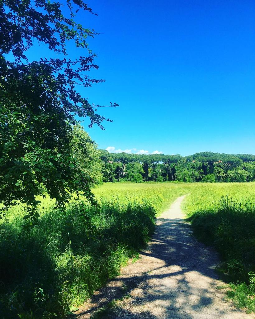 EnteRomaNatura's tweet photo. Ha già più di trent’anni il parco Regionale Urbano di #Aguzzano, 60 ettari di Agro Romano tra la via Nomentana, il GRA, la via Tiburtina e il fiume Aniene.
Un meraviglioso patrimonio di biodiversità..➡️https://t.co/uvWuYr8eNR https://t.co/z3ESefJIUU