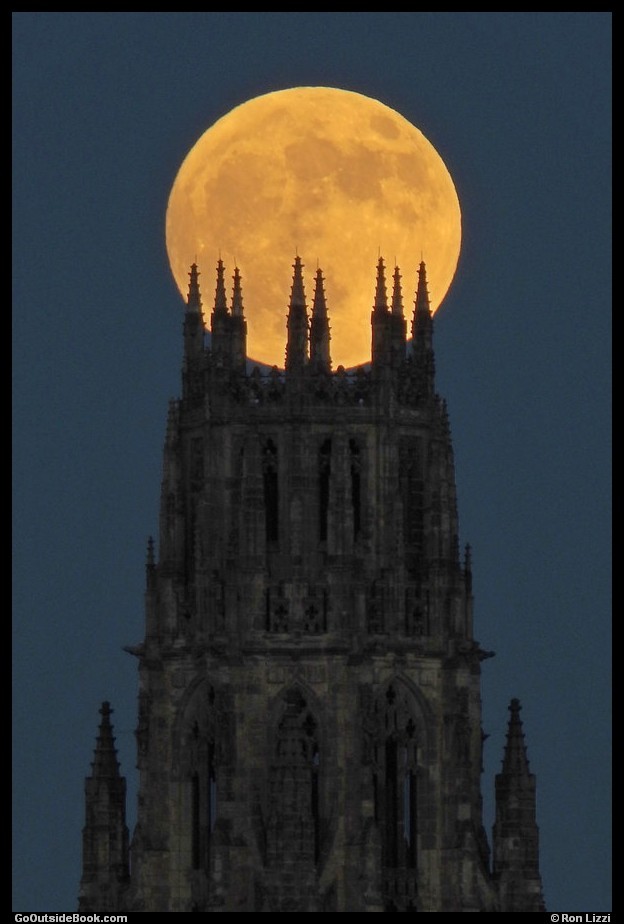 GoOutsideBook's tweet photo. #FullMoon over Harkness Tower at @Yale last night in New Haven, #Connecticut. @yaleguild @YaleAlumni @yalealumnimag @yalelibrary @YaleArtGallery @yaledailynews @visitnewhaven @newhavecultural @INFONewHaven @NewHavenArts @NHFPL @NewHavenMuseum @NhvOrg @CTvisit https://t.co/3mVwBsRT5v