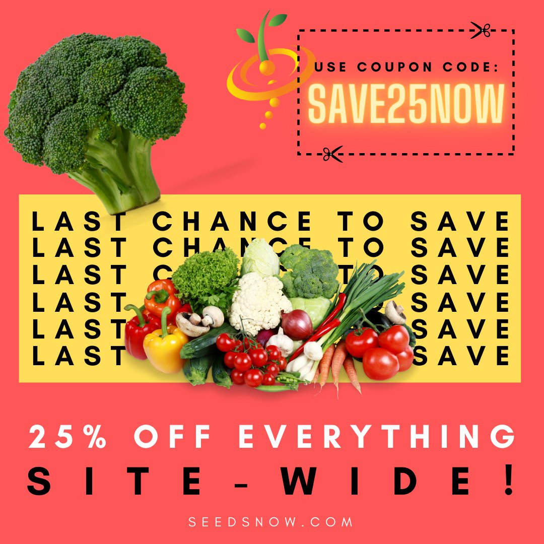 SeedsNow's tweet photo. LAST CHANCE! 🤑 🛒 Take 25% off your entire order right now! 👉 Use Coupon Code: "SAVE25NOW" https://t.co/4GZlbZmu6e https://t.co/TBIkLfOu0u