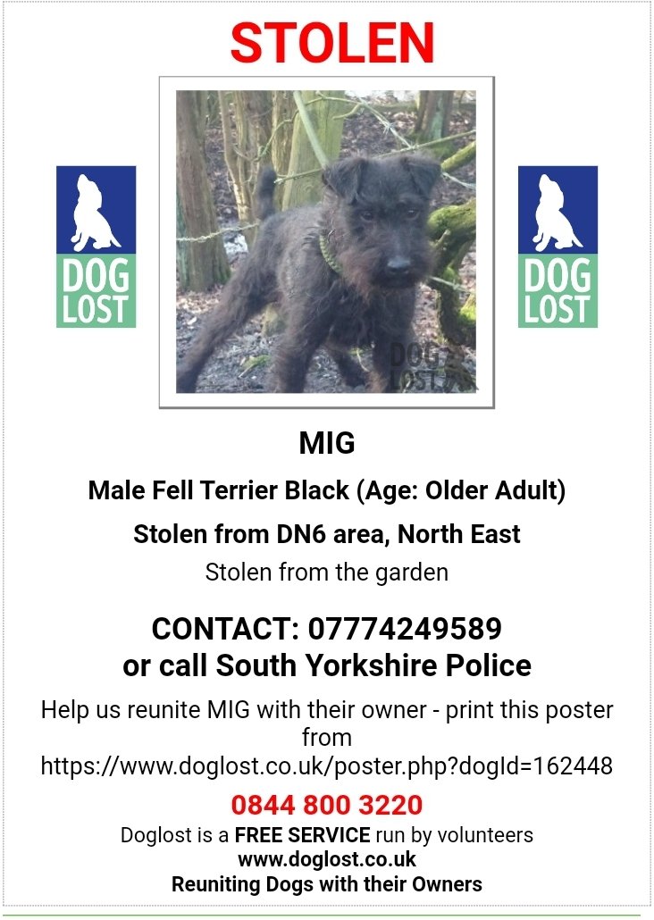💔please RT - So awful

MIG was #stolen in #Hampole #Doncaster on 24/11 morning, when a man dressed in Khaki took him the garden.

The children are “desperate for him to be home, so desperate they offered what was in their money boxes that they were saving for a PS5 as a reward”