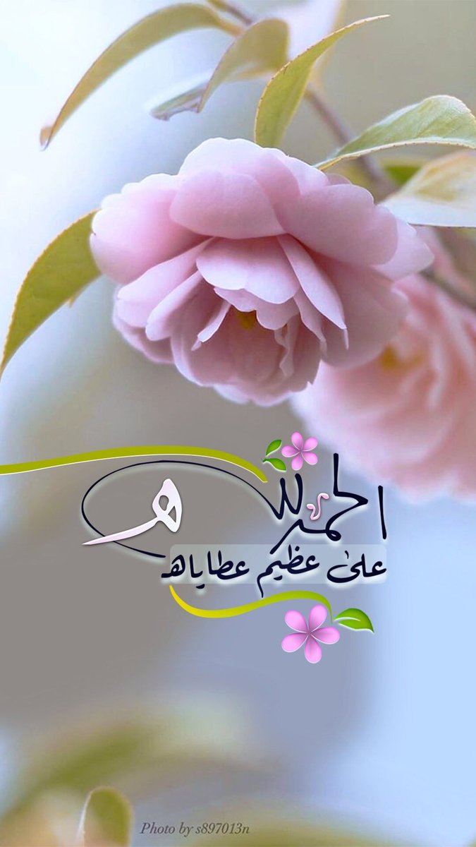 هدوئي ميزتي💫 tweet media