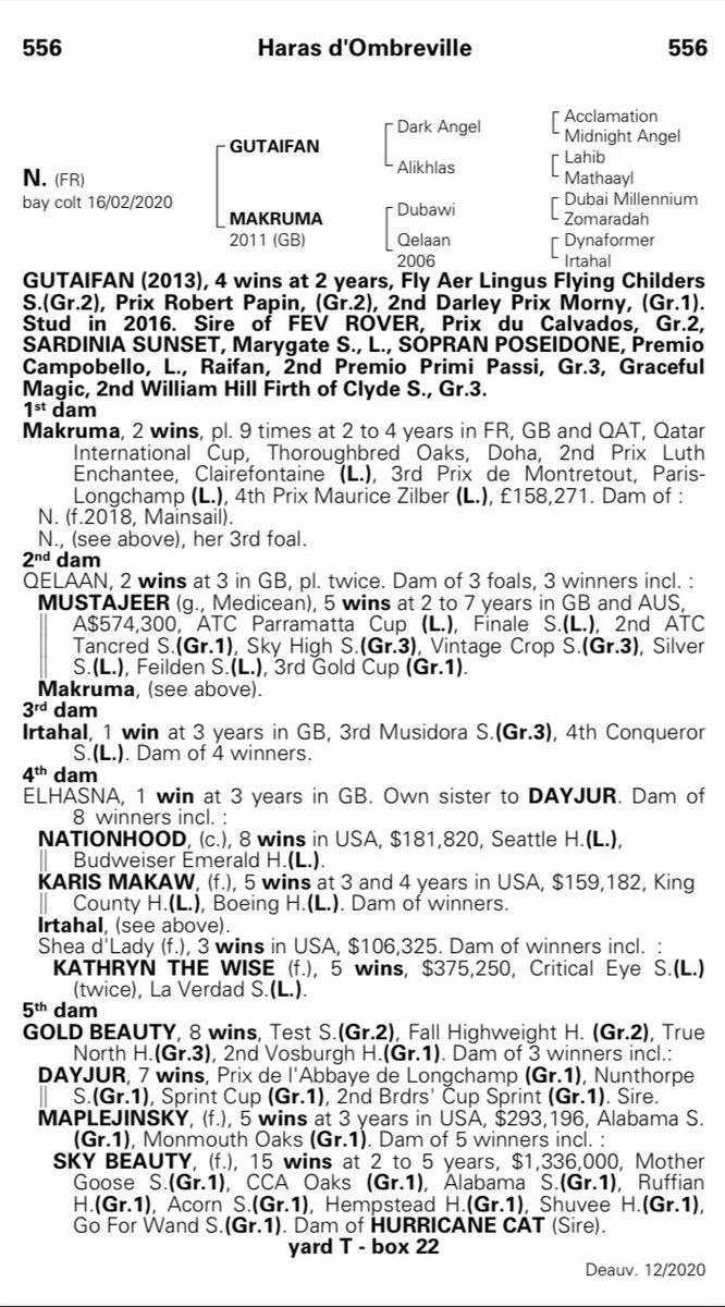 Haras De La Mercerie tweet media