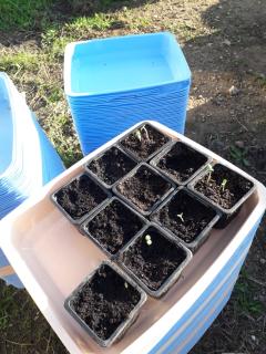 SICTOM Pézenas-Agde tweet media