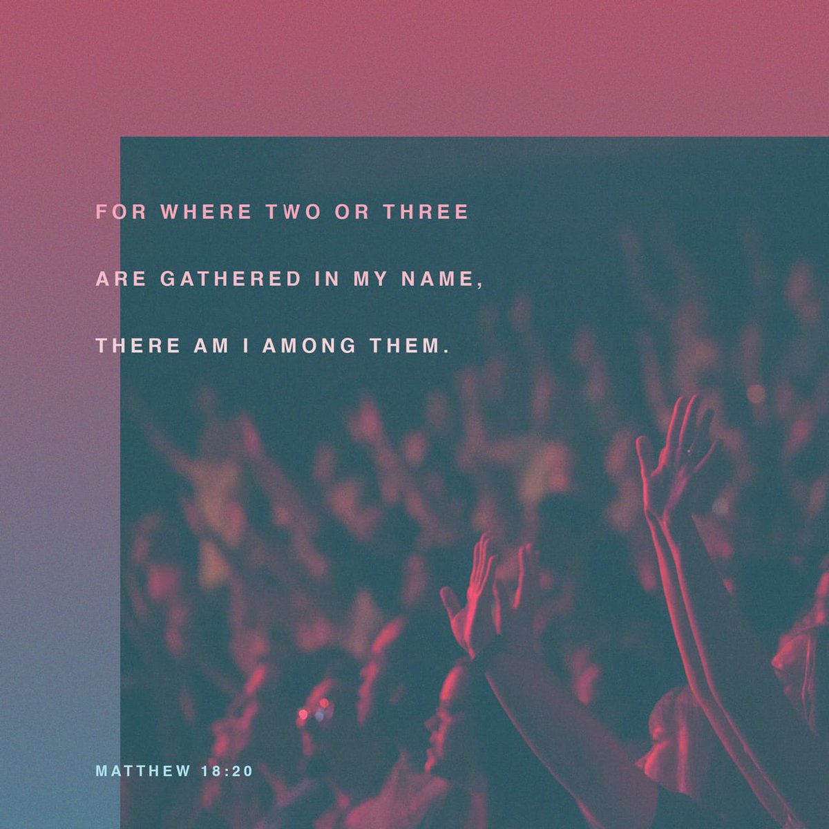 IntersectUNCC's tweet image. #bvotw