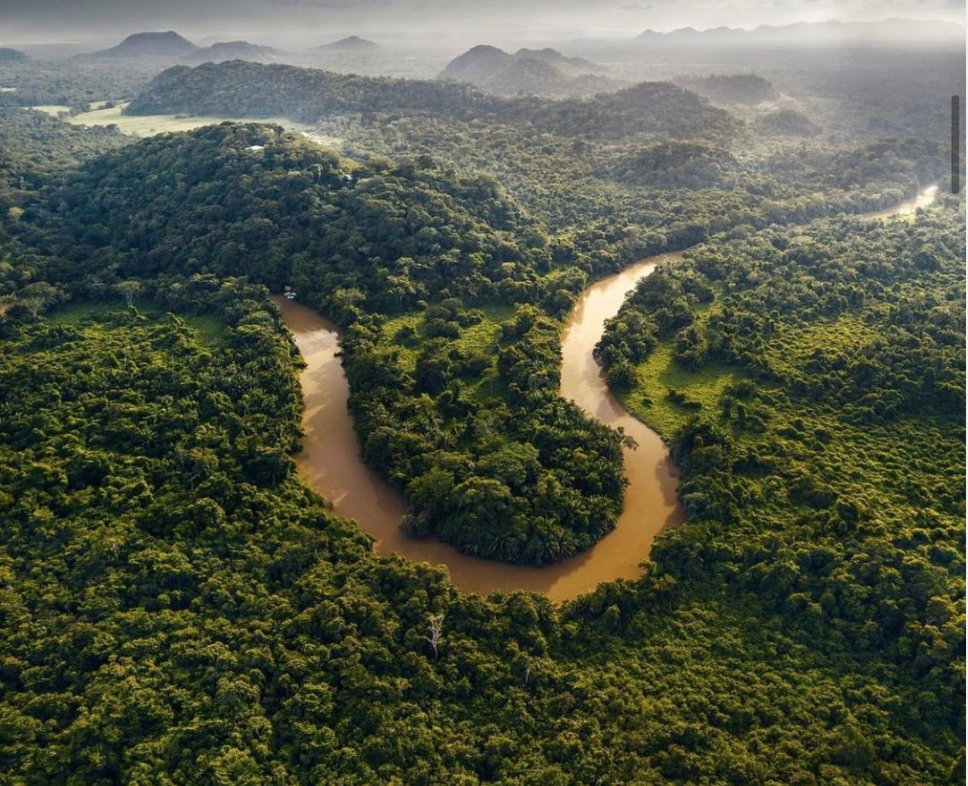 Travel Belize tweet media