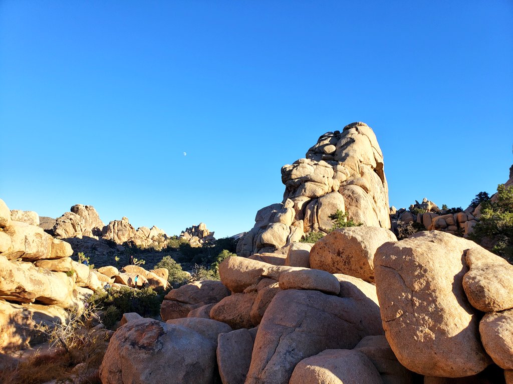 tinyocean_rving's tweet photo. Quick hike through #HiddenValley! Great spot and @JoshuaTreeNPS is obviously the #boulder and #ropeclimbing paradise. We have to go back to the climbing #gym as soon as "this" is over. I feel like the older one is a natural. π #RVTrip11 #RVingUS https://t.co/LtXjG1PRfC