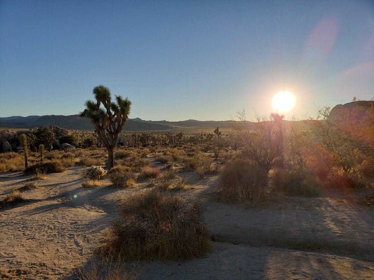 tinyocean_rving's tweet photo. Quick hike through #HiddenValley! Great spot and @JoshuaTreeNPS is obviously the #boulder and #ropeclimbing paradise. We have to go back to the climbing #gym as soon as "this" is over. I feel like the older one is a natural. π #RVTrip11 #RVingUS https://t.co/LtXjG1PRfC