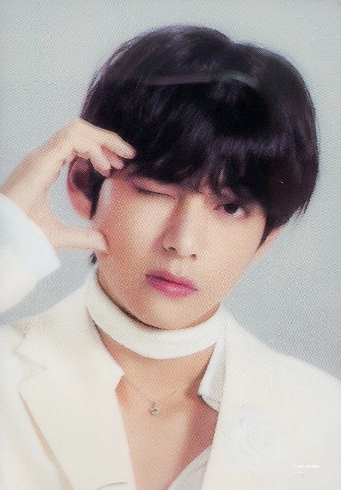 cocovantae's tweet photo. two fluffy best friends 🤍

#ARSD #ARMYSelcaDay https://t.co/LX5VbthJMl