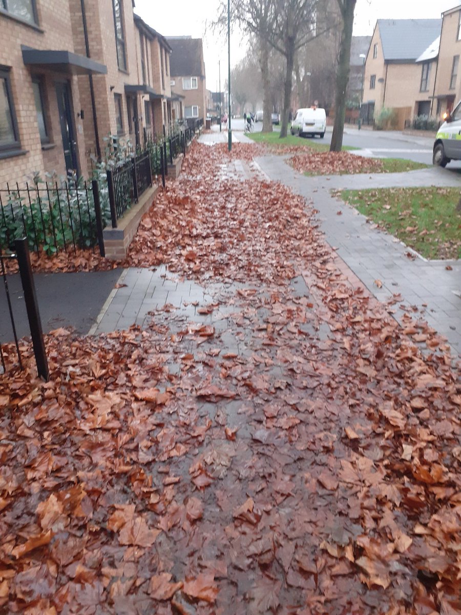 MeadowsPublicRealm tweet media