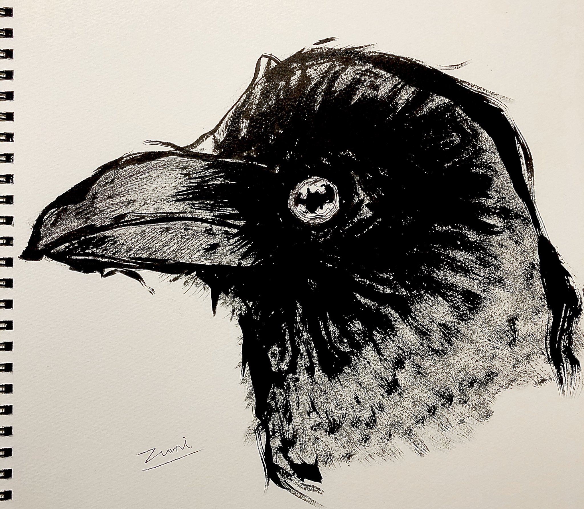 ズミ 在 Twitter 上 カラス 目はかわいい 目はねw カラス Crow イラスト Illustration Picture Photo Japan Japanimation T Co 4zt6go51zp Twitter