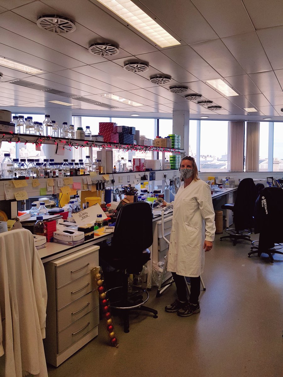 It is almost Christmas in the <a href="/TheElliottLab/">Elliott Lab</a>. Our Christmas fairy god mother is out in full force jazzing up the lab and lifting our spirits #ChristmasIsComing #holidayseason