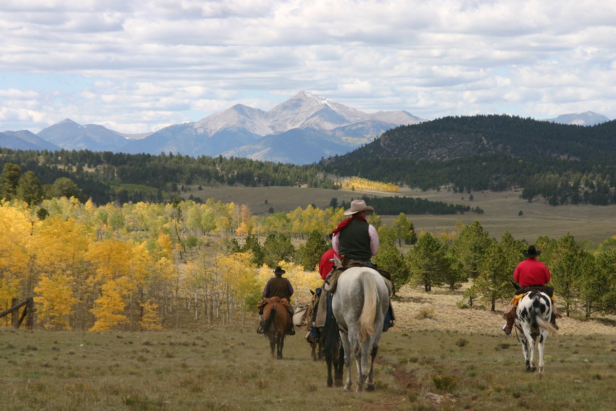 DudeRanchers's tweet photo. Don't forget to enjoy the view at @elkmtnranch!
#DudeRanch #DudeRanchVacation #Colorado #WesternVacation #FamilyVacation https://t.co/DXmQGYPlnB