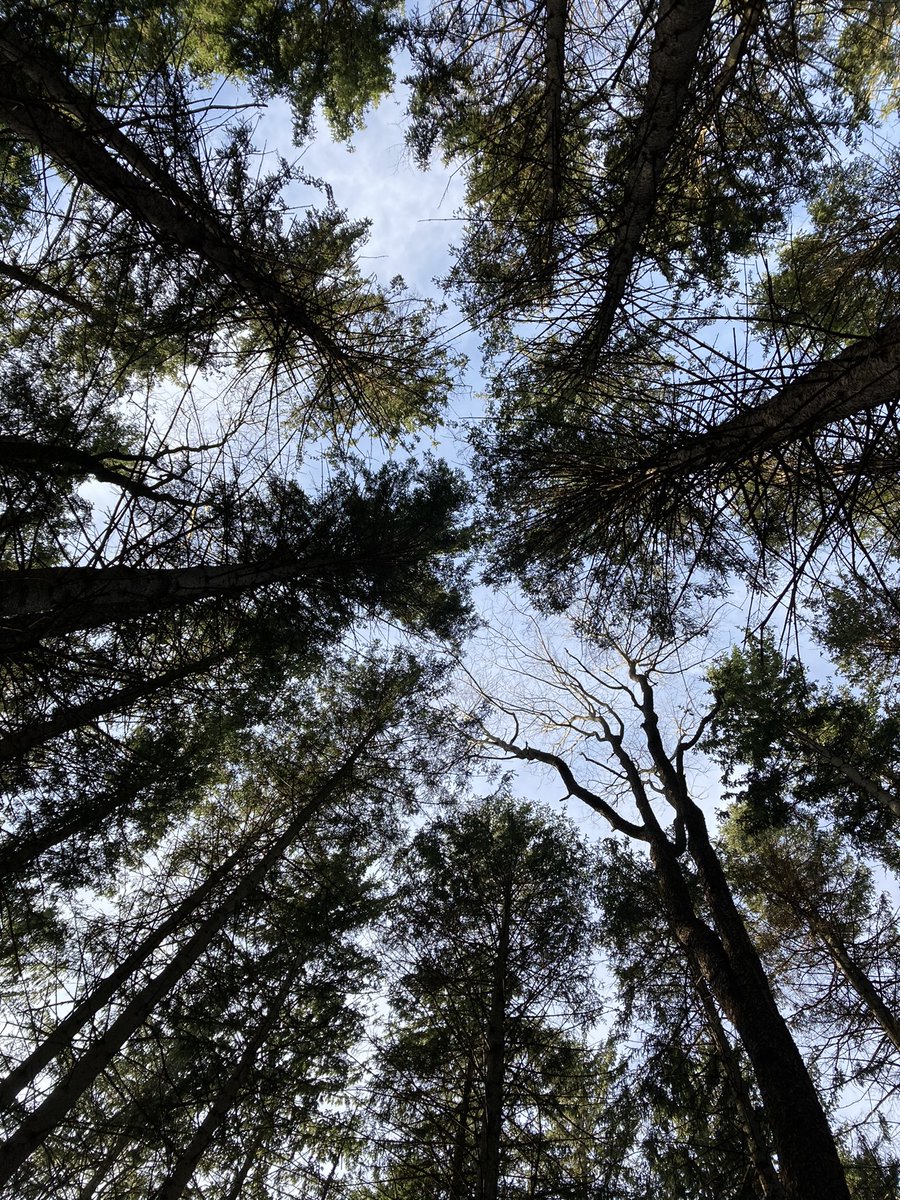 Good morning to the Genesee-Finger Lakes region! A few sunny autumn scenes from Genesee County Park yesterday. <a href="/VisitGeneseeNY/">Genesee County, NY</a>