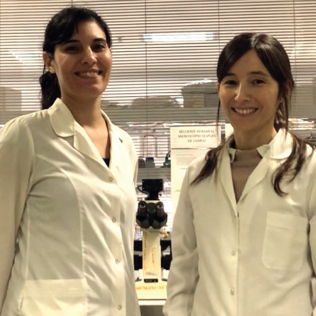 #Noticia Un kit rápido para la prevención del cáncer de cuello de útero resultó ganador del @IB50K 2020 - Conocé los resultados: bit.ly/3fQxIET Reviví la final online: bit.ly/39sYpOI @cnea_arg @uncuyo <a href="/LigadelaCiencia/">La Liga de la Ciencia</a> <a href="/norabar/">Nora Bär</a> <a href="/unsamoficial/">Universidad Nacional de San Martín</a> <a href="/givemoveAR/">givemoveAR</a>