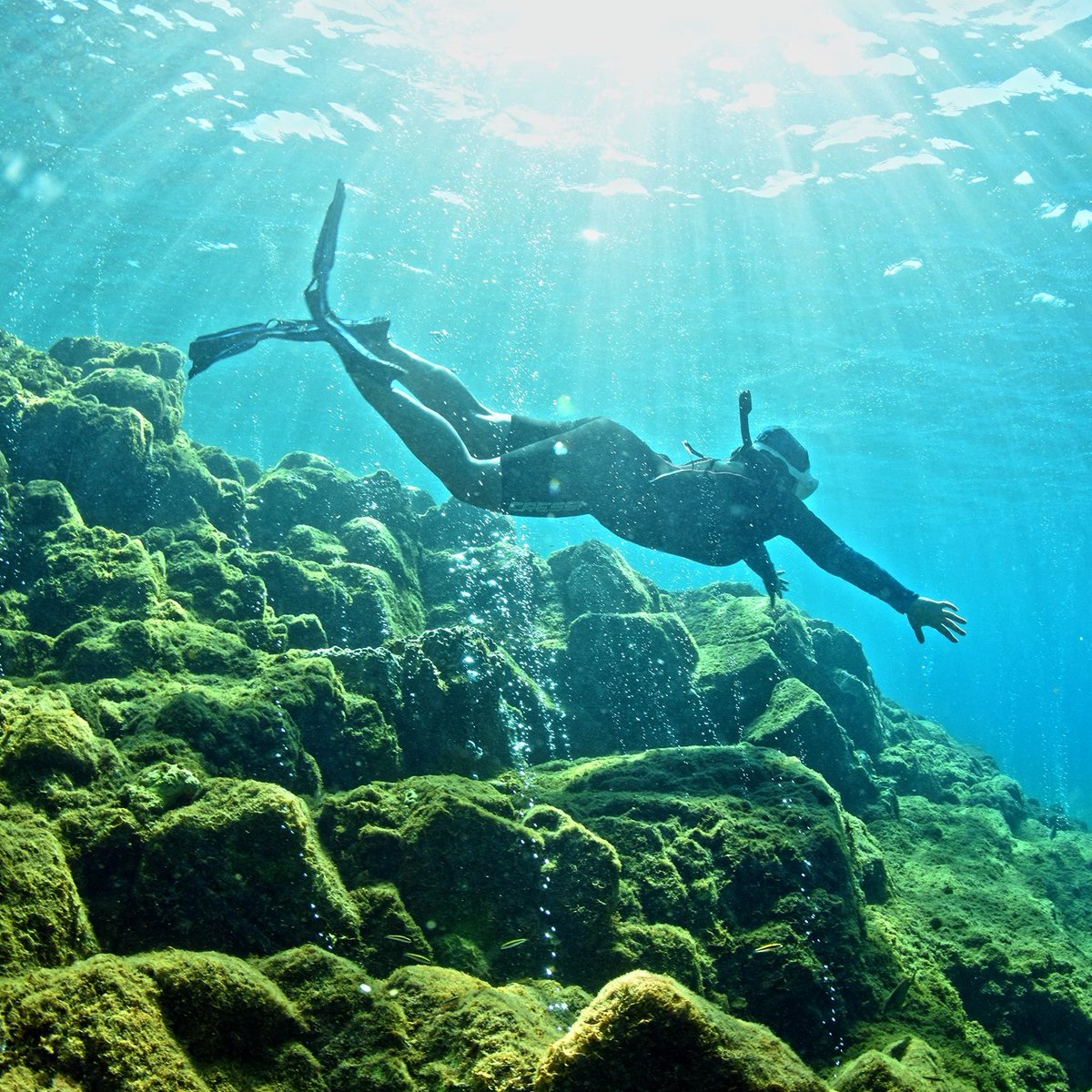 AtlantiqueView's tweet image. Visit Dominica! Stay with us! Enjoy the best of Nature: 
Rainforest!  365 rivers! Waterfalls! Beaches! Boiling Lake! Whale watching! and so much more...... #birdwatching #extremesports #atlantiqueviewresort #Dominica #hiking #diving #whalewatching