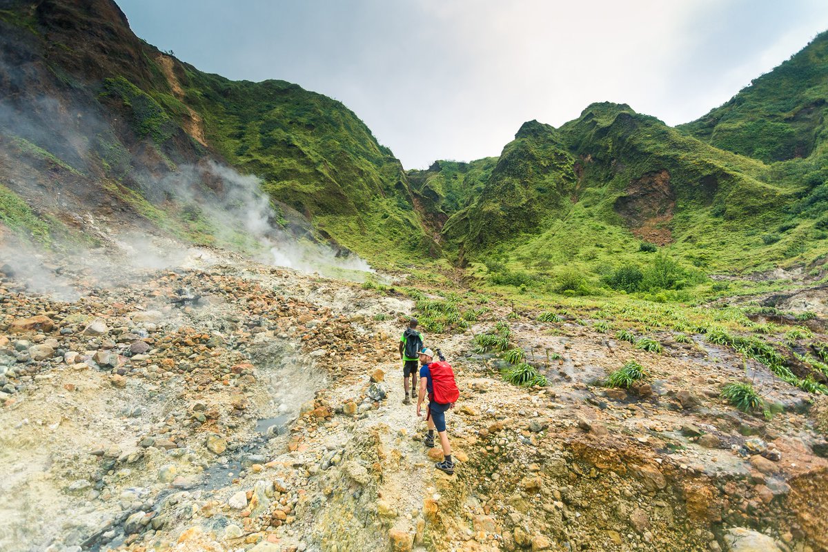 AtlantiqueView's tweet image. Visit Dominica! Stay with us! Enjoy the best of Nature: 
Rainforest!  365 rivers! Waterfalls! Beaches! Boiling Lake! Whale watching! and so much more...... #birdwatching #extremesports #atlantiqueviewresort #Dominica #hiking #diving #whalewatching