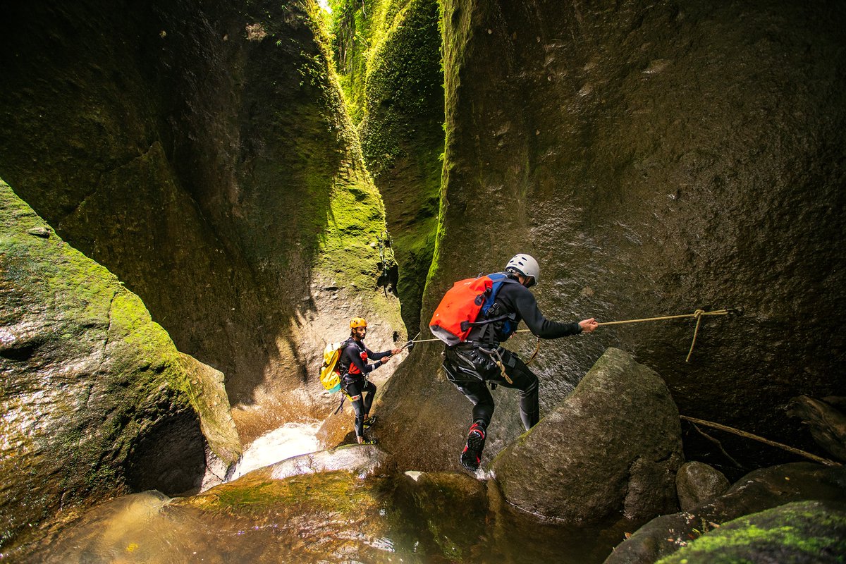 AtlantiqueView's tweet image. Visit Dominica! Stay with us! Enjoy the best of Nature: 
Rainforest!  365 rivers! Waterfalls! Beaches! Boiling Lake! Whale watching! and so much more...... #birdwatching #extremesports #atlantiqueviewresort #Dominica #hiking #diving #whalewatching