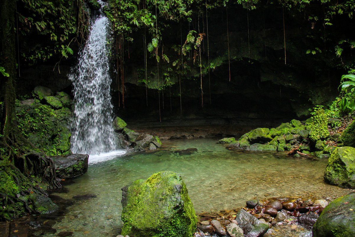 AtlantiqueView's tweet image. Visit Dominica! Stay with us! Enjoy the best of Nature: 
Rainforest!  365 rivers! Waterfalls! Beaches! Boiling Lake! Whale watching! and so much more...... #birdwatching #extremesports #atlantiqueviewresort #Dominica #hiking #diving #whalewatching