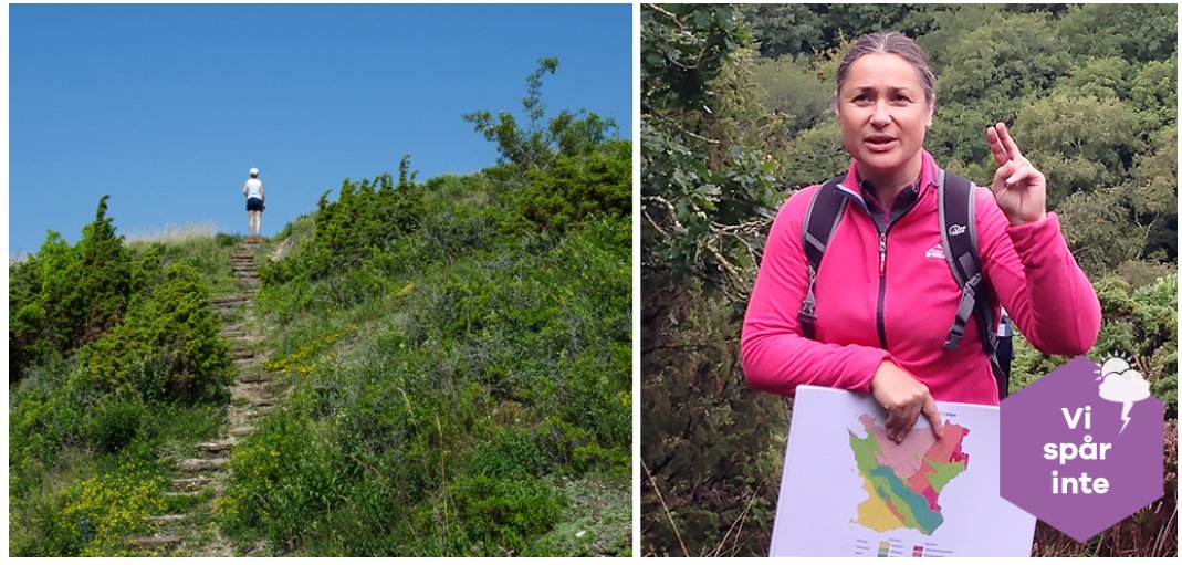 EfgInfo's tweet image. New in the #EFGeoBlog! Emma Rehnström, Sweden’s Geologist of the Year 2020, makes you discover traces of volcanoes, #earthquakes &amp;amp; #dinosaurs in #Scania. She received the award for her efforts in organising outreach activities promoting #geosciences: bit.ly/3mcvzFO