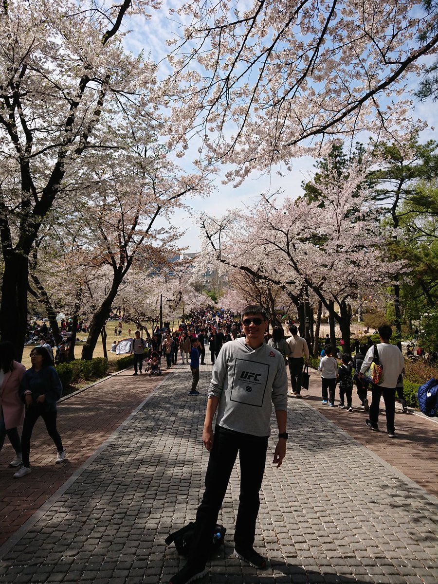 I want to come back to Korea because I can't get enough of the beauty of the cherry blossoms when they're in bloom #SamaKaSaKorea <a href="/AkoSiKatOK/">ʇɐʞısoʞɐ ♧</a>