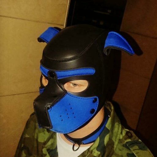 PupSnacki's tweet photo. Wraff wraff 🐾 🐶 https://t.co/WJtdmY9VIj
