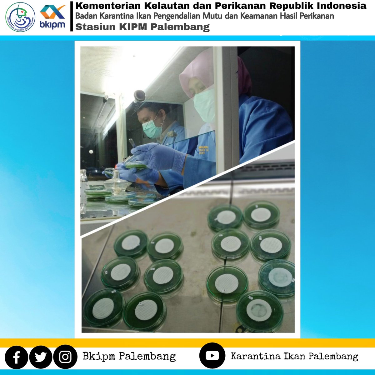 bppmhkp_plg's tweet image. 30/11 #OneHealthKIPM 
Melaksanakan pengujian air dan es di Laboratorium Mikrobiologi Sasiun KIPM PALEMBANG
@rinajanwar2201
@humasBKIPM
@sugeng_1605
#pengujian #air #es #mikrobiologi #karantinaikan #BKIPM #KKP #KKPGOID