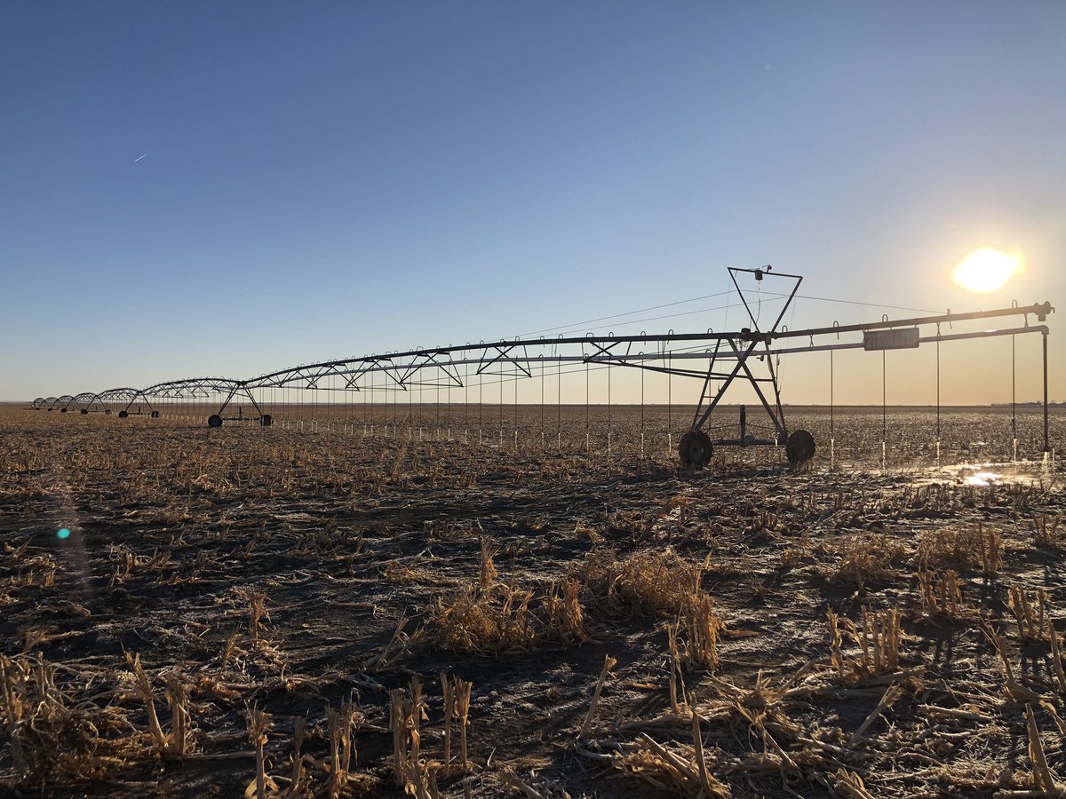 winsomefarms's tweet image. Many have asked about cold weather irrigating. 
15 deg this morning, no ice build up. #bubblemode