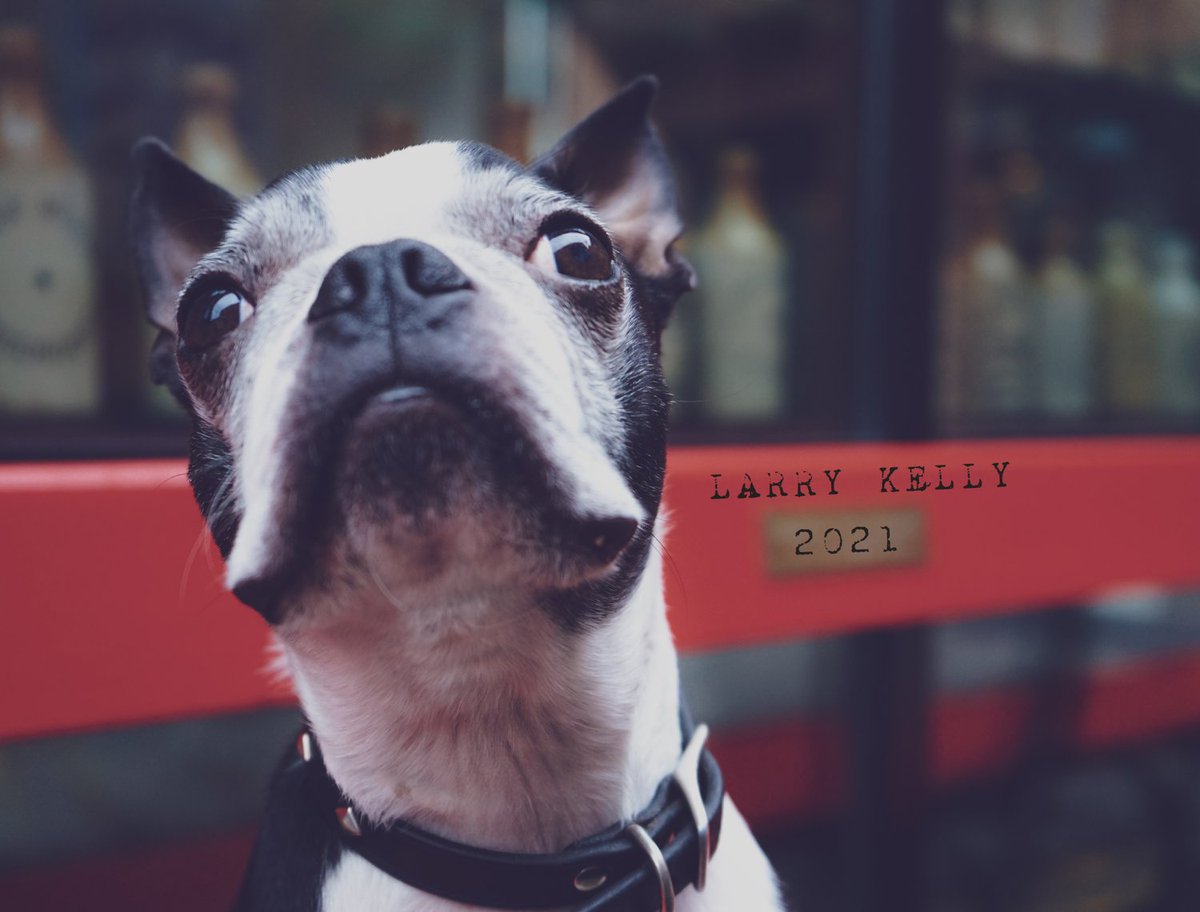 RyanKellyMusic's tweet photo. The Diva has positioned himself in front of the camera to bring you the 2021 version of the annual Larry Kelly calendar!As always, proceeds will help a charity I'll forever associate with my late Dad - 
@macmillancancer Get 12 months of LK (&amp; some of RK): https://t.co/IavJJwon2v https://t.co/modEWXbp9r