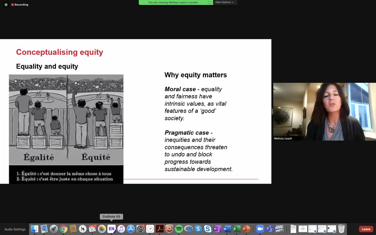 "Equity is about justice and achieving equality of outcomes, so that everyone can see the football match" says  @mleach_ids. Seven forms of equity interact to drive how groups experience the world.
