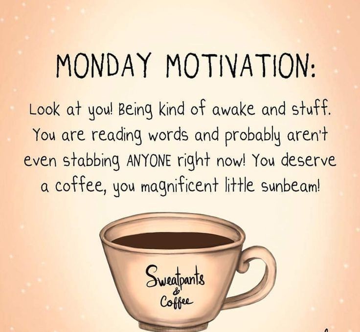 DawnAddonizio's tweet photo. #Monday #Coffee #Sunbeams https://t.co/uoNuNSmT0Z
