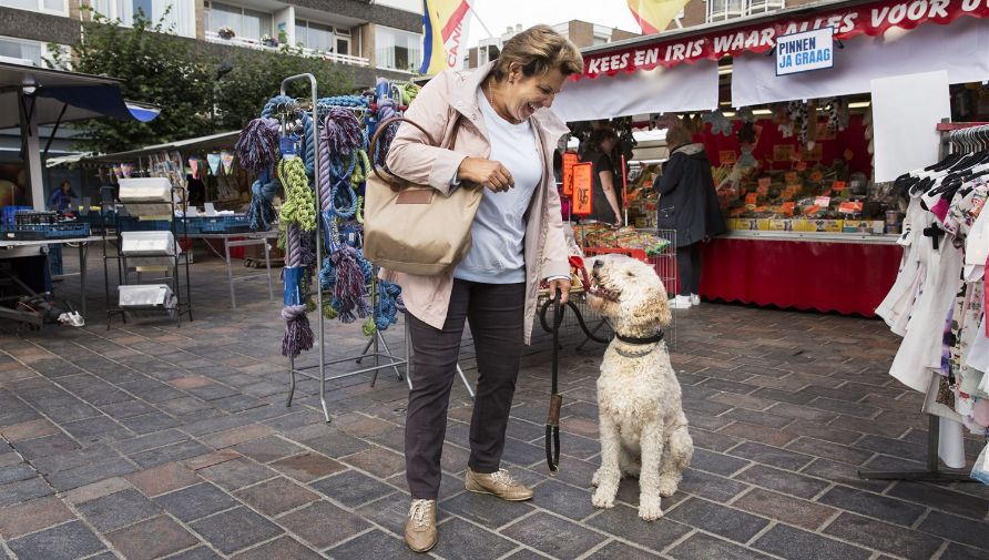 De jaarlijkse huis-aan-huiscontrole voor de hondenbelasting gaat weer van start 🐕.

Voorkom boetes en doe tijdig aangifte. Meer informatie 👉 denhaag.nl/nl/gemeentebel….