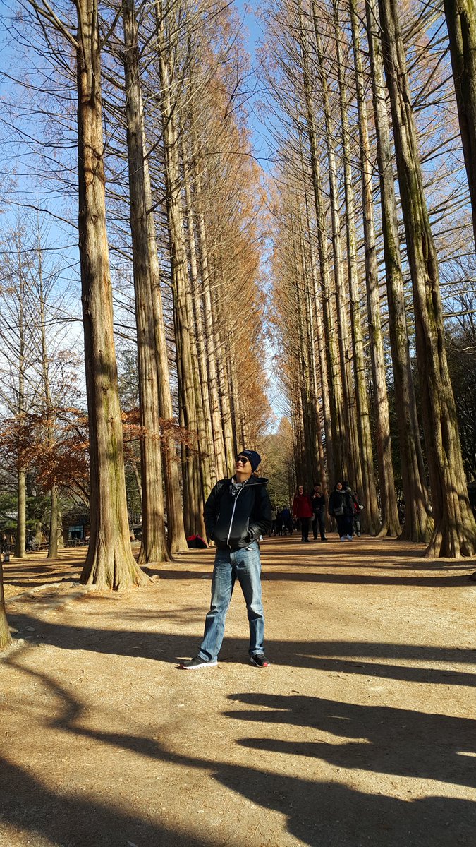 I want to come back to Korea because I want to have my picture taken at this same spot in Nami Island every season. Already had one in autumn and spring, now I need just summer and winter. #SamaKaSaKorea <a href="/AkoSiKatOK/">ʇɐʞısoʞɐ ♧</a>