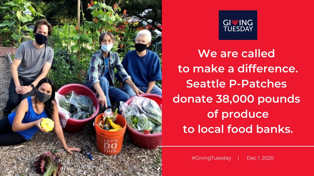 It’s almost time for #GivingTuesday! We know you have several organizations you’d like to support, but consider giving a little bit (or a lot) to GROW. We have the big task of supporting Seattle’s 89 P-Patches. Plus, your donation is tax-deductible! grow.networkforgood.com/projects/11323…