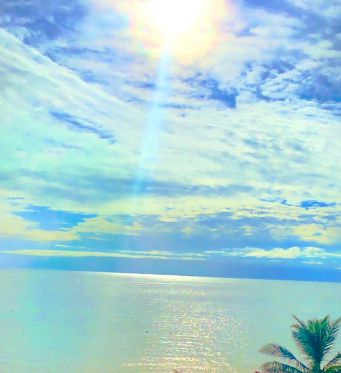 Rose Sandford tweet media