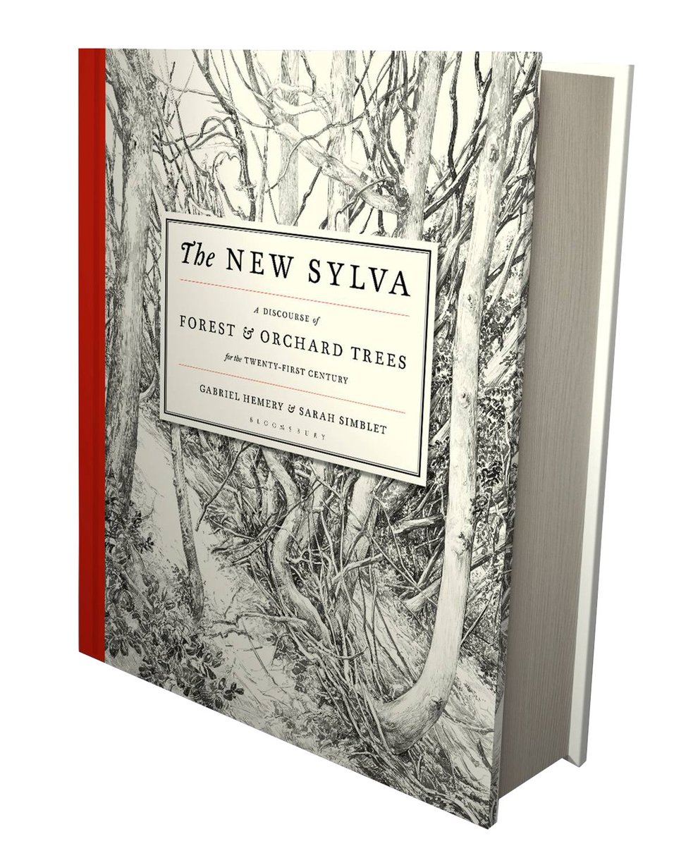 SylvaFoundation's tweet photo. Yes, it's true! Our online shop is open in time for Christmas deliveries. Give a truly unique gift this festive season with a copy of The New Sylva @BloomsburyBooks signed by author @GabrielHemery and help support an environmental charity at the same time: https://t.co/lnQa02FwxD https://t.co/7Z7j1kvzyq