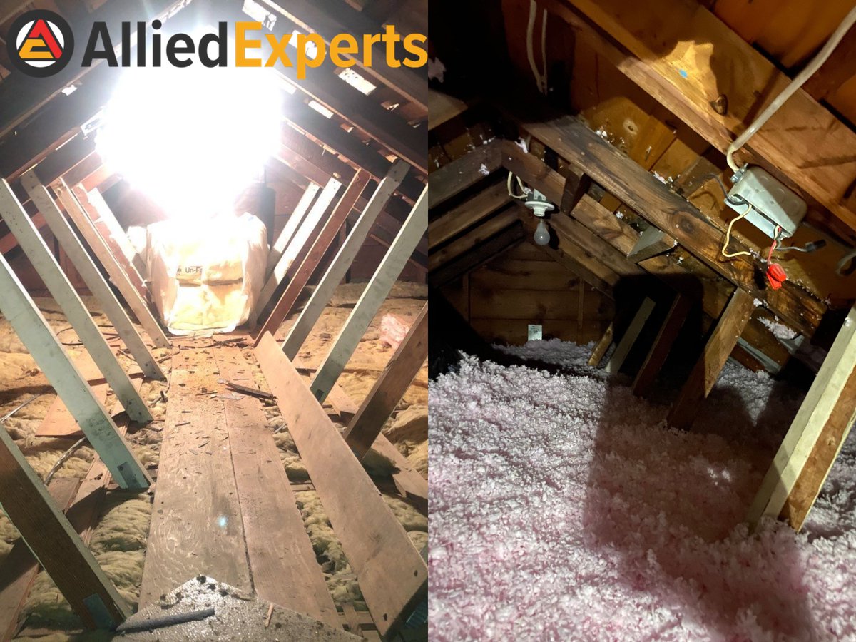 Allied_Experts tweet picture