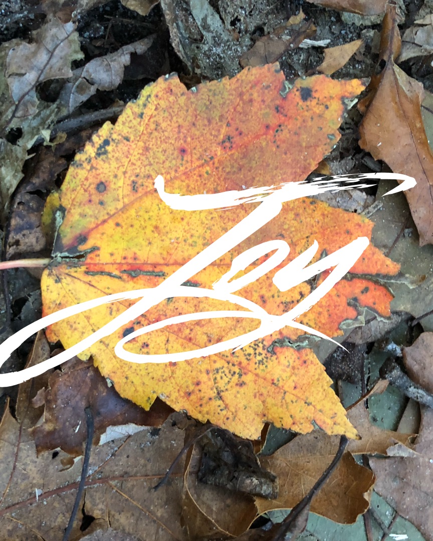 nhdwrites's tweet photo. What are you joyful about? #findyourjoy #joyful #joyous #bliss #happy #free #feelingood #fall #autumn #leaves #newengland #peace #nature #abundance #gratitude https://t.co/nfcAmdvsQD
