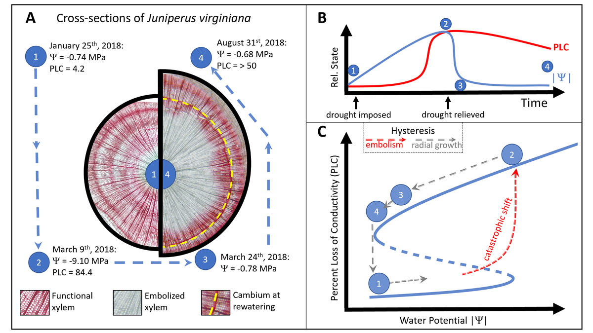 Dr. William Hammond tweet media