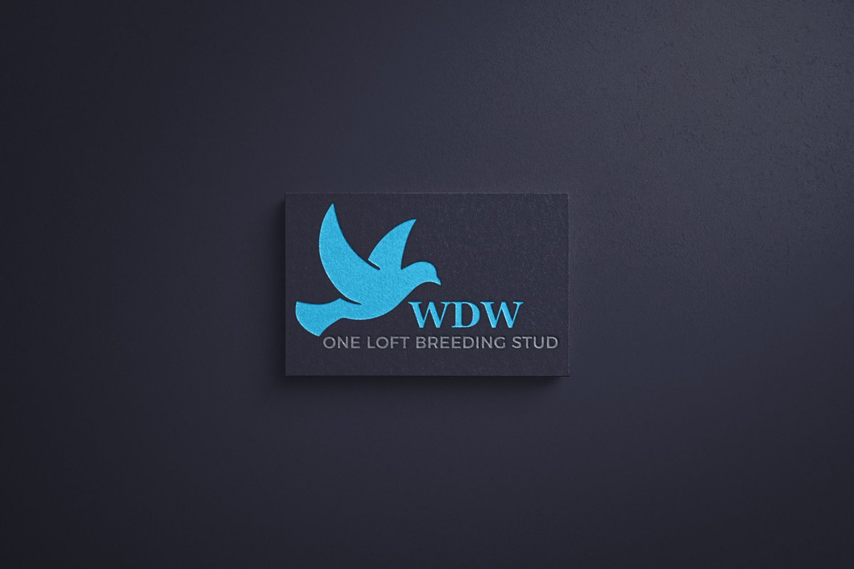 saifulsarker132's tweet photo. #logodesign #logo
#logo
#logodesign

#logos
#LogoDoubleH
#logotype
#logowork
#logomaker
#logoideas
#logobrand

#Logo Maker
#logo
#logodesign
70 Tweets in the last hour
#logos
#LogoDoubleH
#logotype
#logowork
#logomaker
#logoideas
6w https://t.co/UpDARHWA3V