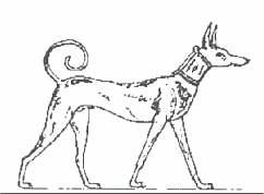 Thinking about dogs this morning.Perhaps unsurprisingly.About the earliest dog who's name we know - Abuwtiyuw - and how we only know his name, not his master's.His human buried him with honor, and inscribed the name on his tomb, to let the ages know he was a good boy.