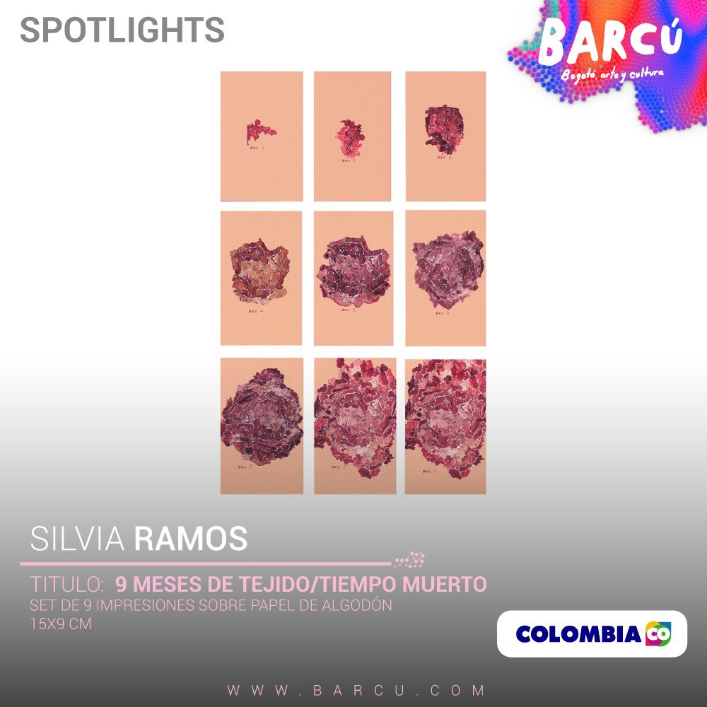 Barcú tweet media