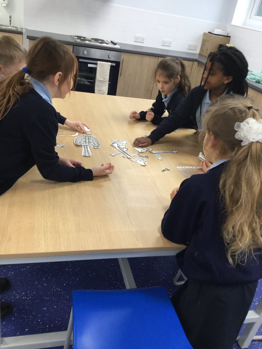 lwilsonsclass's tweet photo. 3W spent the afternoon exploring how to fit a skeleton together and learning the names of some bones. Great team work everyone! https://t.co/IAcmHg46Or