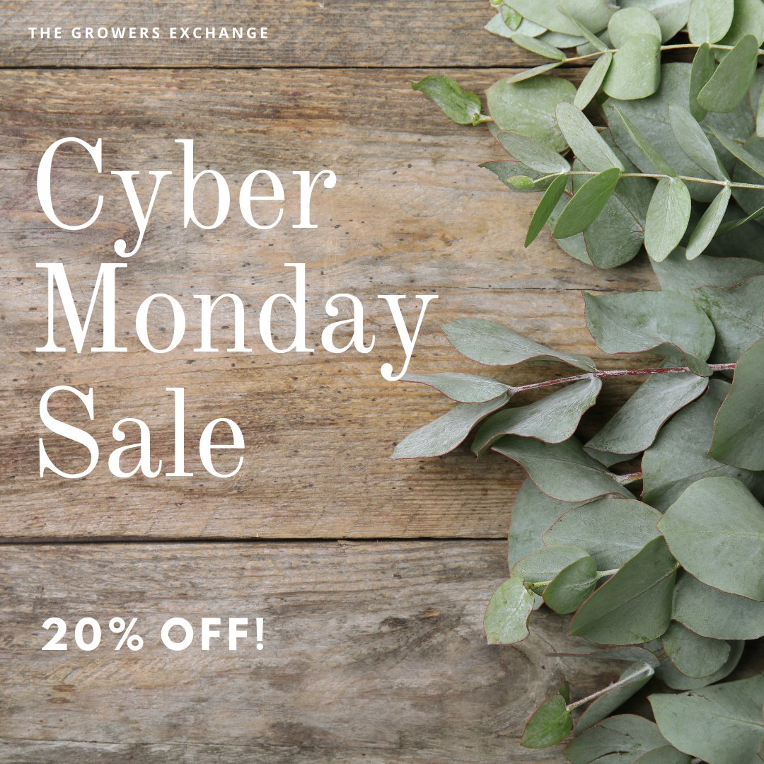 GrowHere's tweet photo. For 20% Off Shop &amp; Use Discount Code: CyberMonday | #cybermonday #herbs #plants #plantsale #holidaysale https://t.co/wsaDF6fcpa