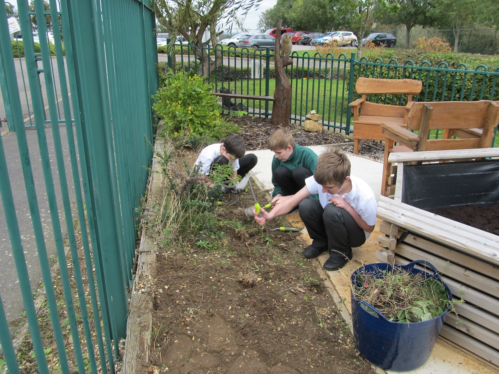 GreenfieldsAca's tweet photo. Land Based Studies have a new project thanks to funding: https://t.co/mcnMBNQfUa
#landbasedstudies #outdoorlearning #sensorygardem https://t.co/fUNld3RYO5