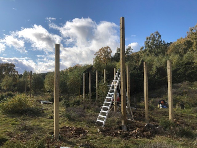 SaveOurWildcats's tweet photo. Last month we took the first exciting steps to build the wildcat breeding for release centre @HighlandWPark ๐พ
Despite the challenges of 2020 this is a great step for the project + we are absolutely determined to do all we can to help save wildcats in Scotland from extinction ๐ป https://t.co/iqJ25Ew4eI