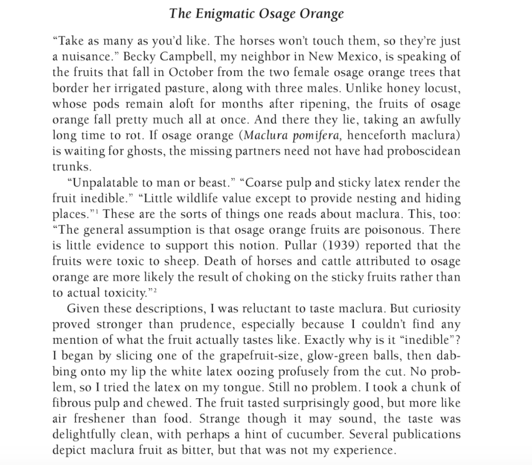 I should also note that squirrels will certainly eat hedge apple seeds (tho it's seemingly not a preferred food). Some ppl even claim to enjoy eating them, reporting they taste like cucumbers. However, the theory abt co-evolution with megafauna stands.  https://books.google.com/books?id=W0aQRscaW3QC&pg=PA120#v=onepage&q&f=false