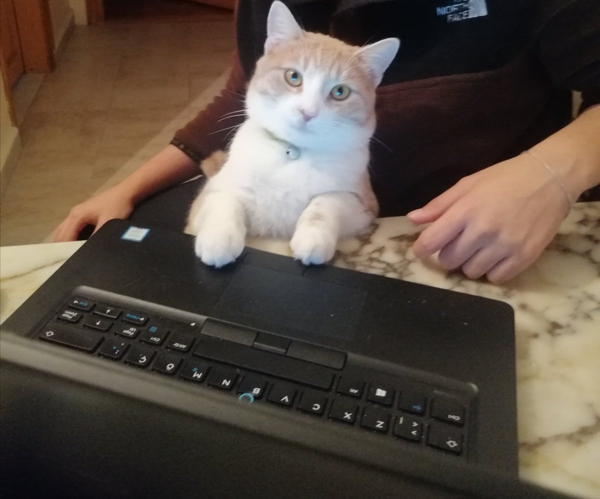 Online eğitimde tam gaz devam