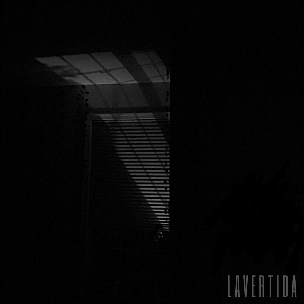 Lavertida tweet media